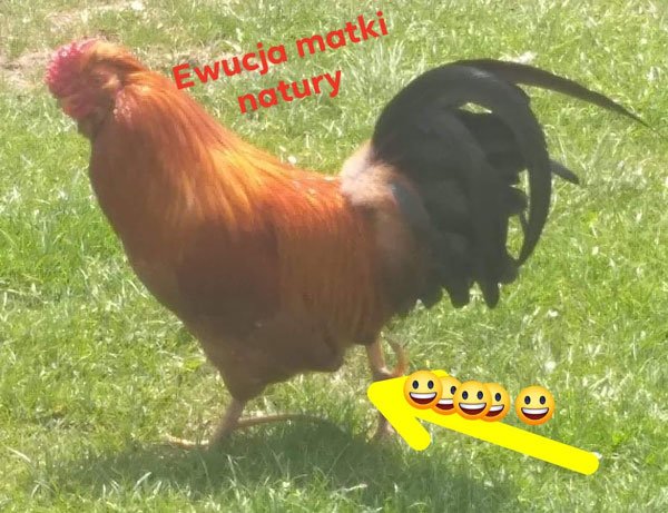 kura.jpg